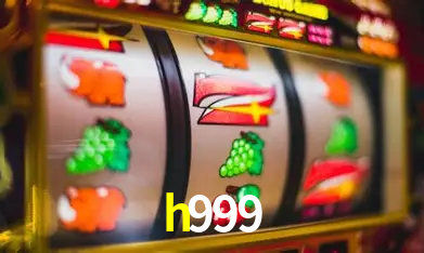 Interface Premium h999